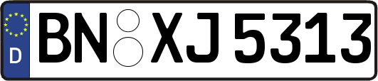 BN-XJ5313