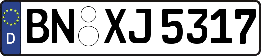 BN-XJ5317