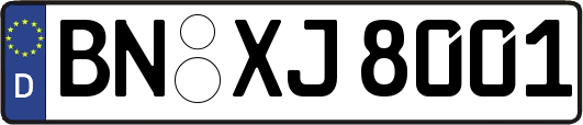 BN-XJ8001