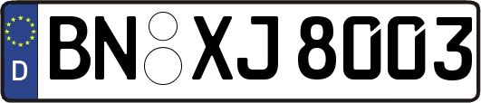 BN-XJ8003