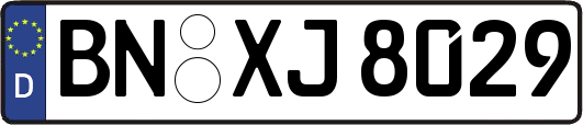 BN-XJ8029