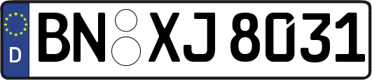 BN-XJ8031
