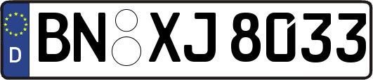BN-XJ8033