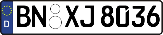 BN-XJ8036