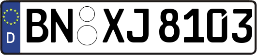 BN-XJ8103