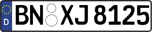 BN-XJ8125