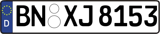 BN-XJ8153