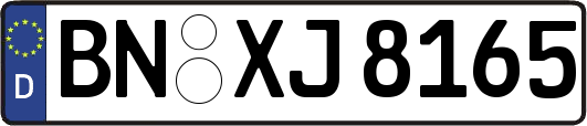 BN-XJ8165