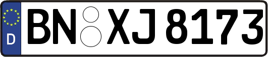 BN-XJ8173