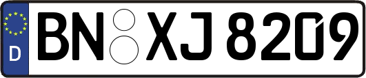 BN-XJ8209