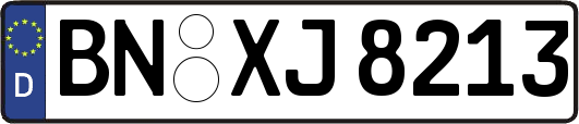BN-XJ8213