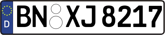 BN-XJ8217