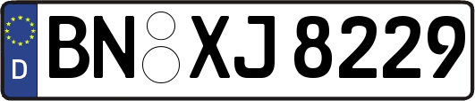 BN-XJ8229