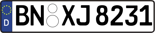 BN-XJ8231