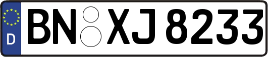BN-XJ8233