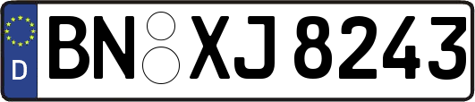 BN-XJ8243