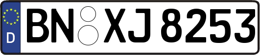 BN-XJ8253