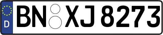 BN-XJ8273