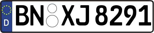 BN-XJ8291
