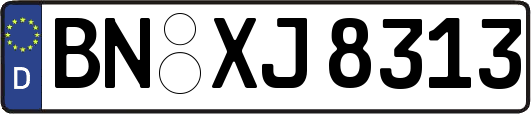 BN-XJ8313