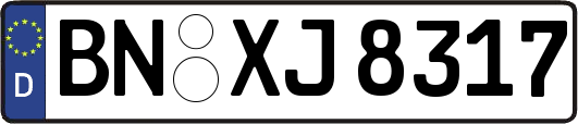 BN-XJ8317