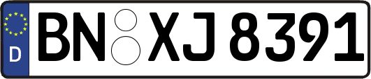 BN-XJ8391