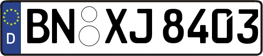 BN-XJ8403