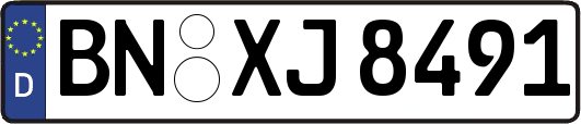 BN-XJ8491
