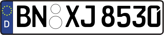 BN-XJ8530