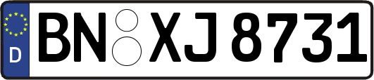 BN-XJ8731
