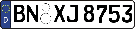 BN-XJ8753