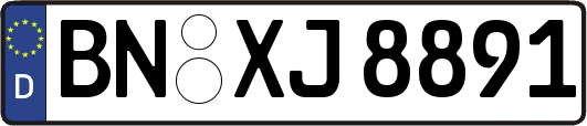 BN-XJ8891