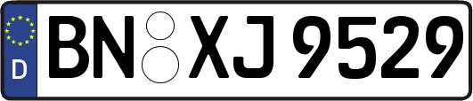 BN-XJ9529