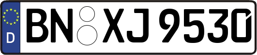 BN-XJ9530