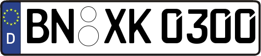 BN-XK0300