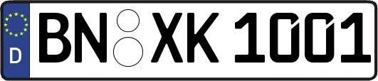 BN-XK1001