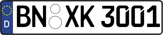 BN-XK3001