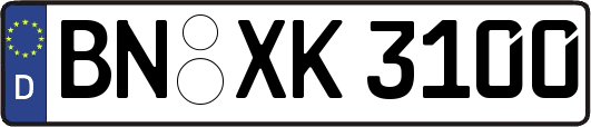 BN-XK3100