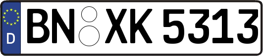 BN-XK5313