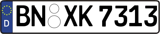 BN-XK7313