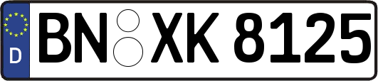 BN-XK8125