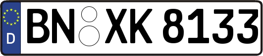 BN-XK8133