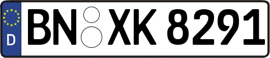 BN-XK8291