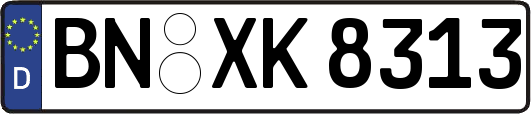 BN-XK8313