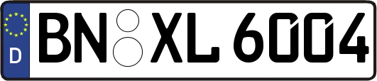 BN-XL6004