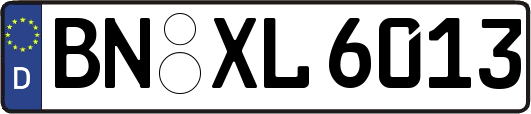 BN-XL6013
