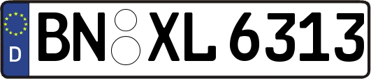BN-XL6313