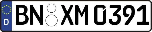 BN-XM0391