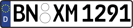 BN-XM1291