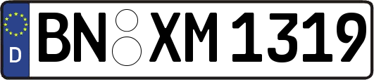 BN-XM1319